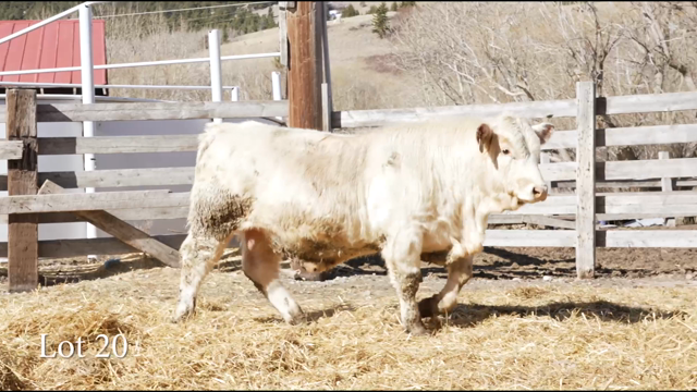 LOT 20