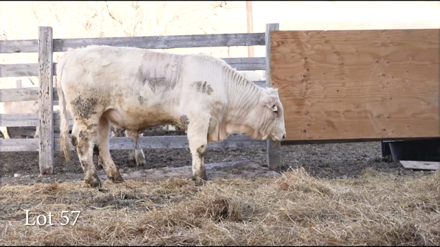 LOT 57