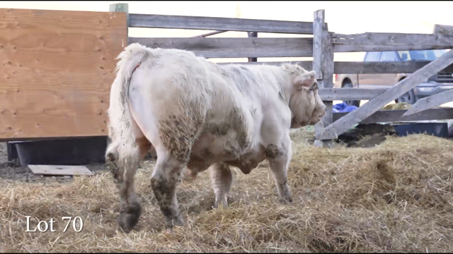 LOT 70