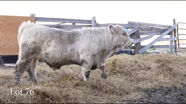 LOT 76