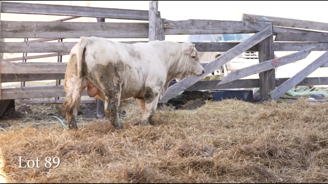 LOT 89